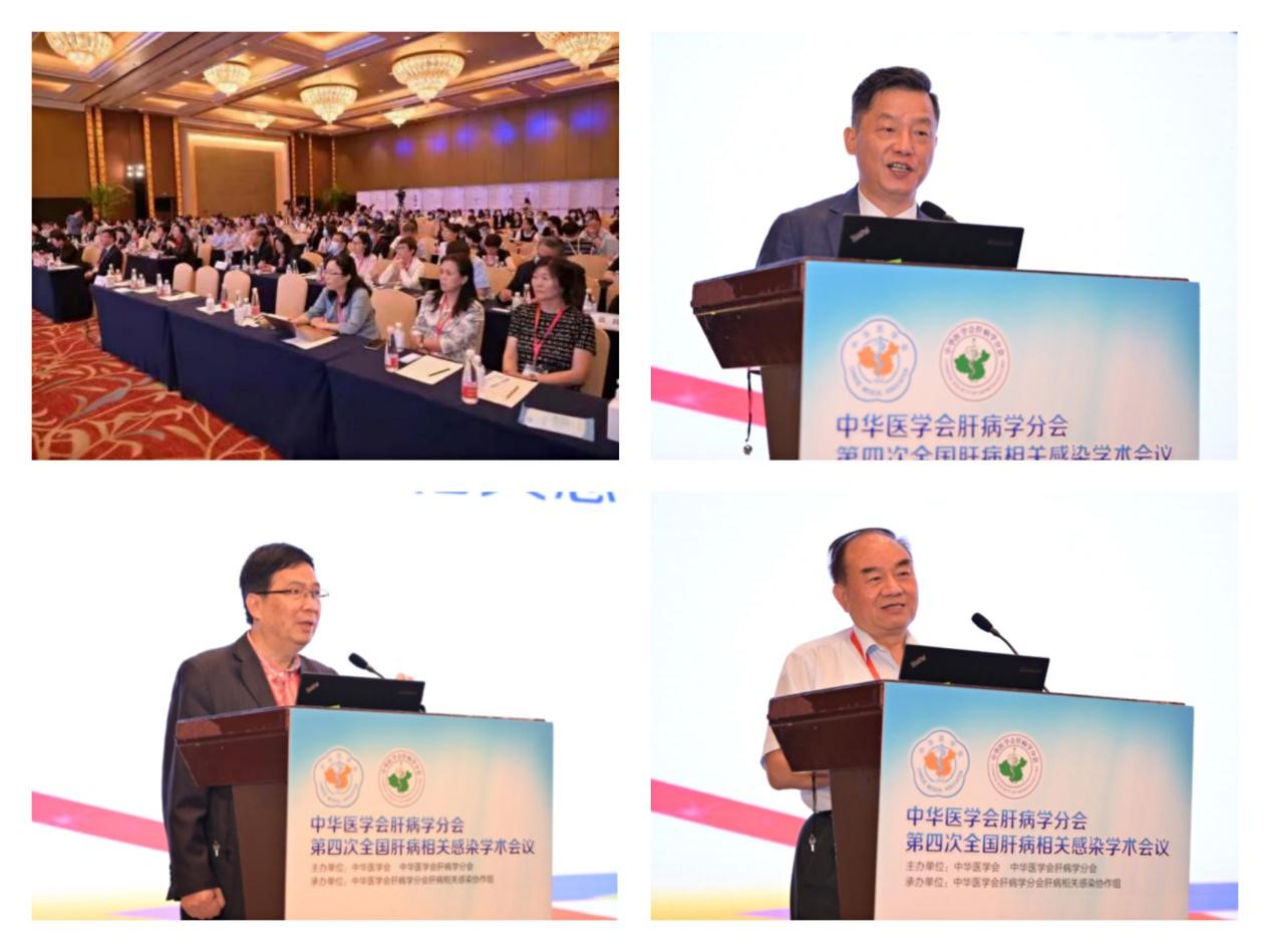 聚焦學(xué)術(shù)前沿，共迎肝病防治新征程！福瑞股份以學(xué)術(shù)助力中醫(yī)藥發(fā)展
